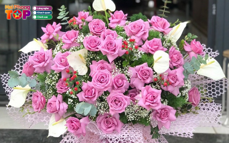 Binh-minh-flower