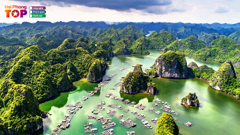Gioi-thieu-vinh-lan-ha-haiphongtoplist-1