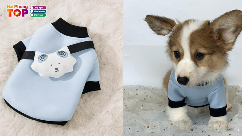 Pet-house-haiphongtoplist