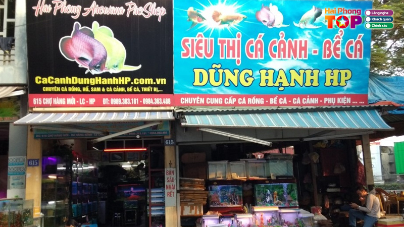 Shop-ca-canh-dung-hanh-hp-haiphongtoplist