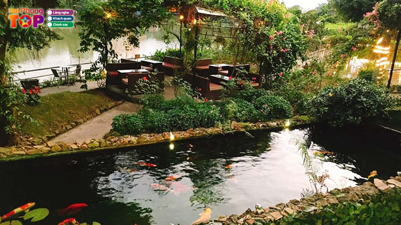 Trang-anh-cafe-haiphongtoplist