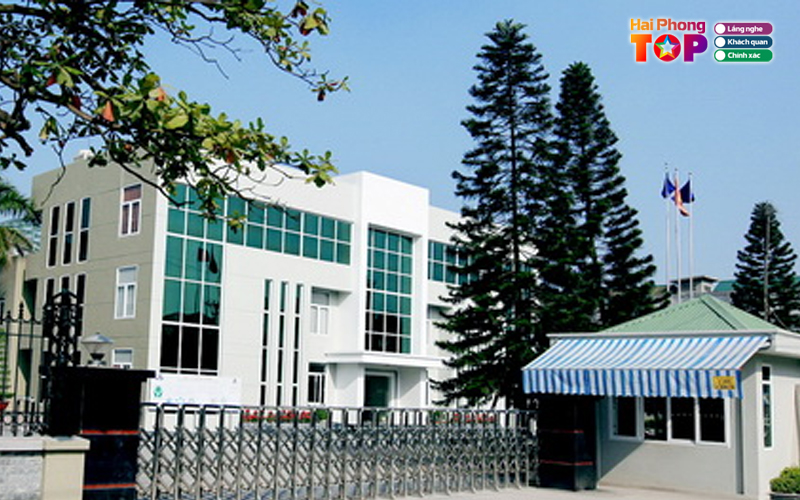 Cong-ty-tnhh-cong-nghe-thong-tin-vlc-haiphongtoplist