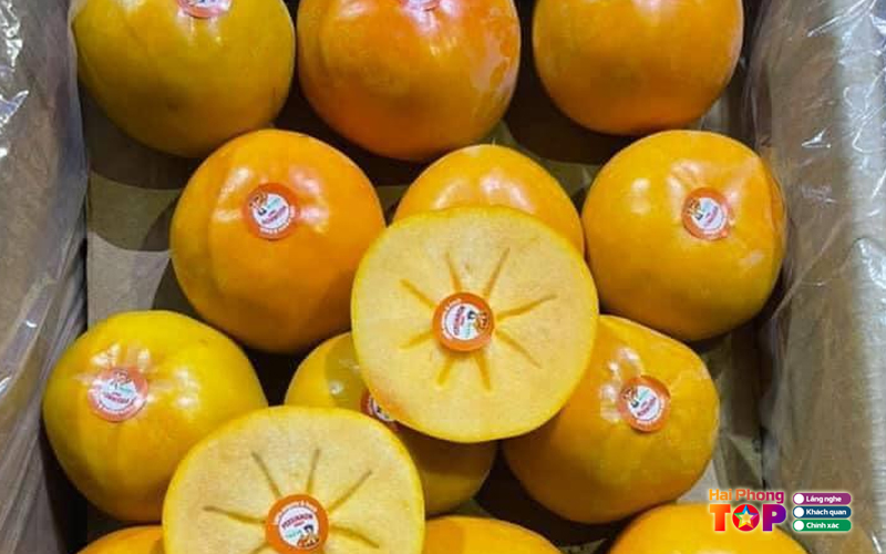 Eus-fruit-haiphongtoplist