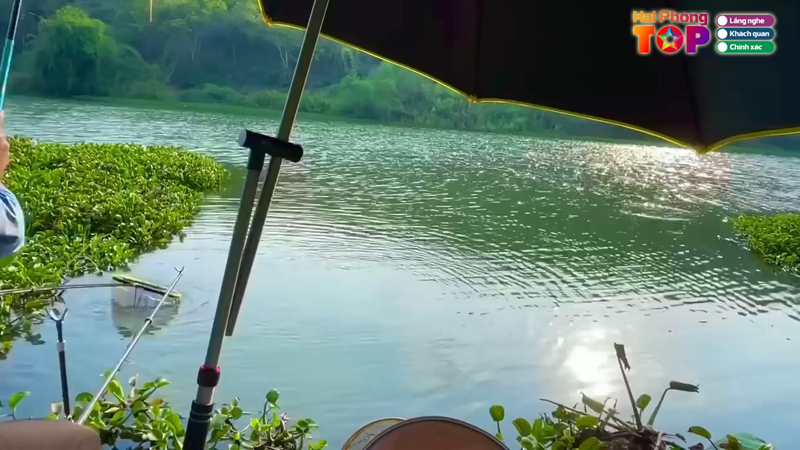 Ho-cau-giai-tri-minh-ngoc-haiphongtoplist