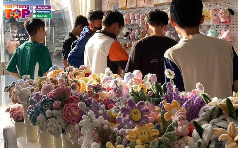 Tinydestore-haiphongtoplist