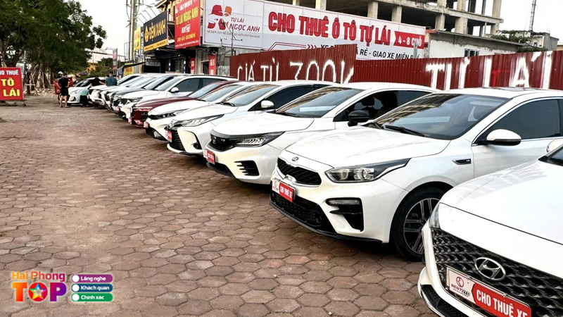 Cong-ty-tnhh-dich-vu-tu-lai-ngoc-anh-haiphongtoplist