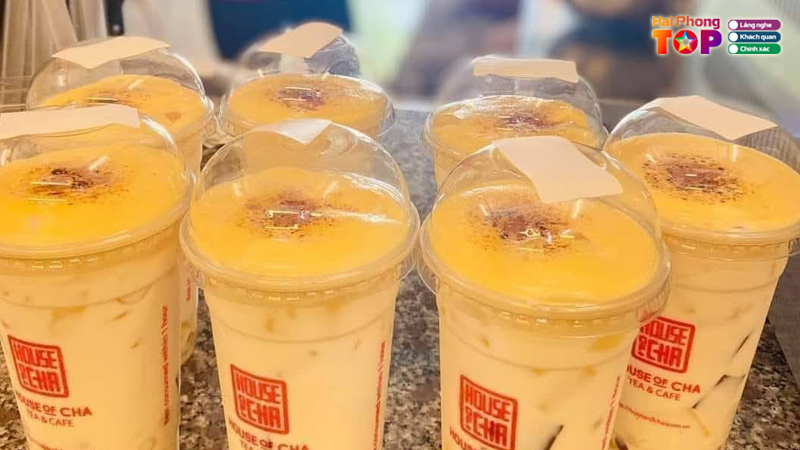 House-of-cha-haiphongtoplist
