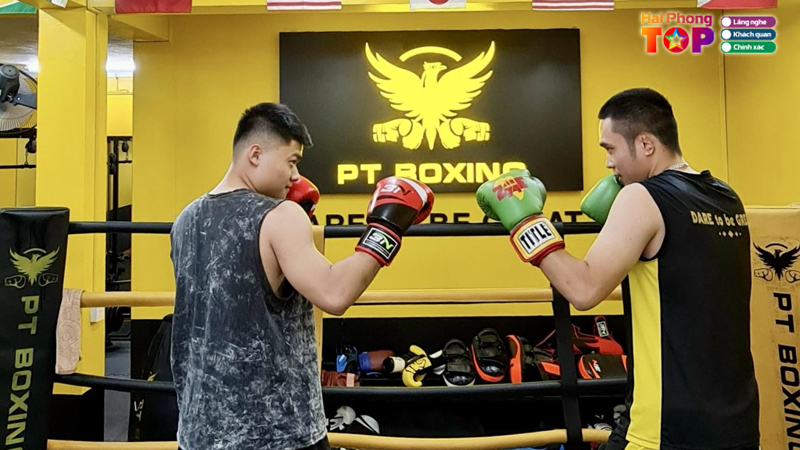 Pt-boxing-hp-haiphongtoplist