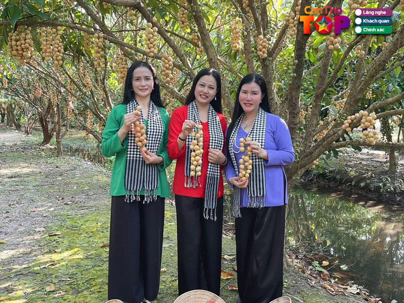 Vuon-trai-cay-chin-hong-canthotoplist